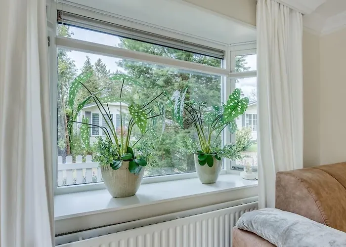 Chalé De Grutto 5pers Veluwe